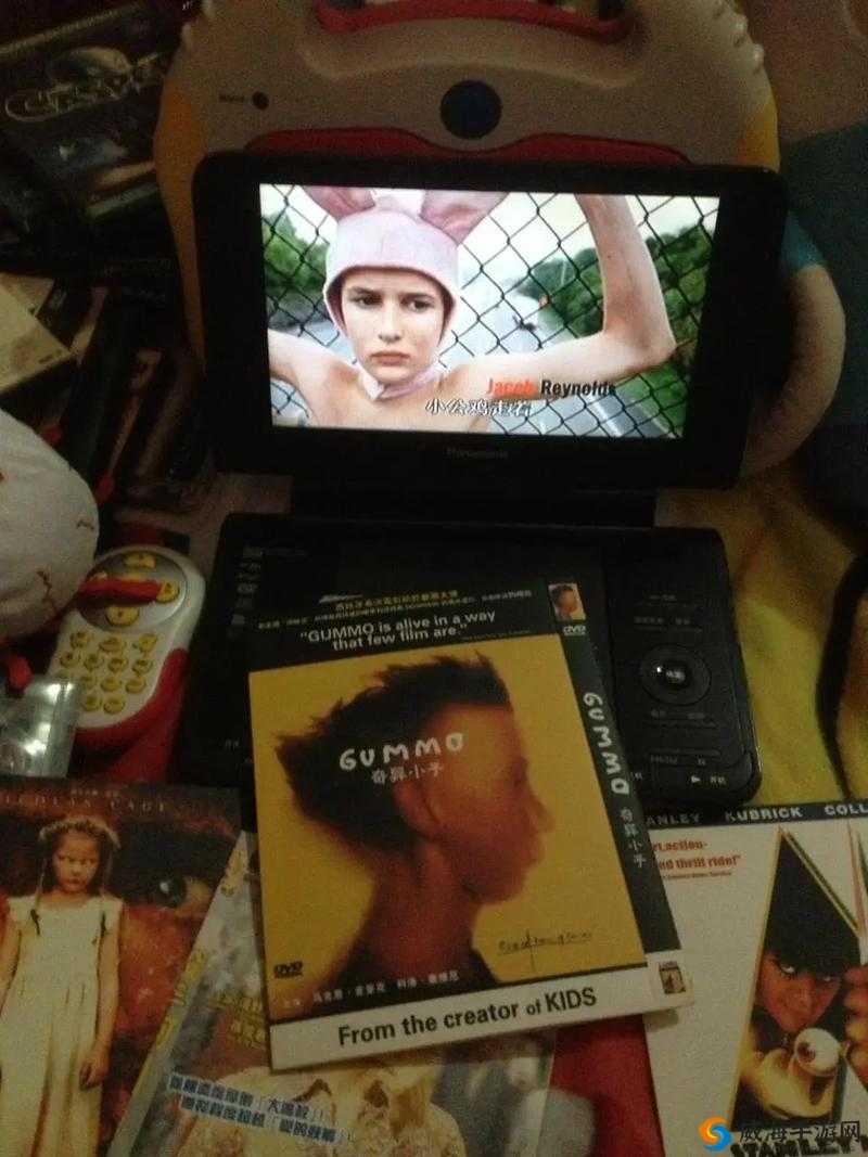 国产日产高清 DVD 碟片:优质影视资源的精彩呈现