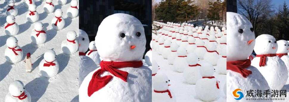 那两团雪球在他的手里：见证一段奇妙的冰雪故事