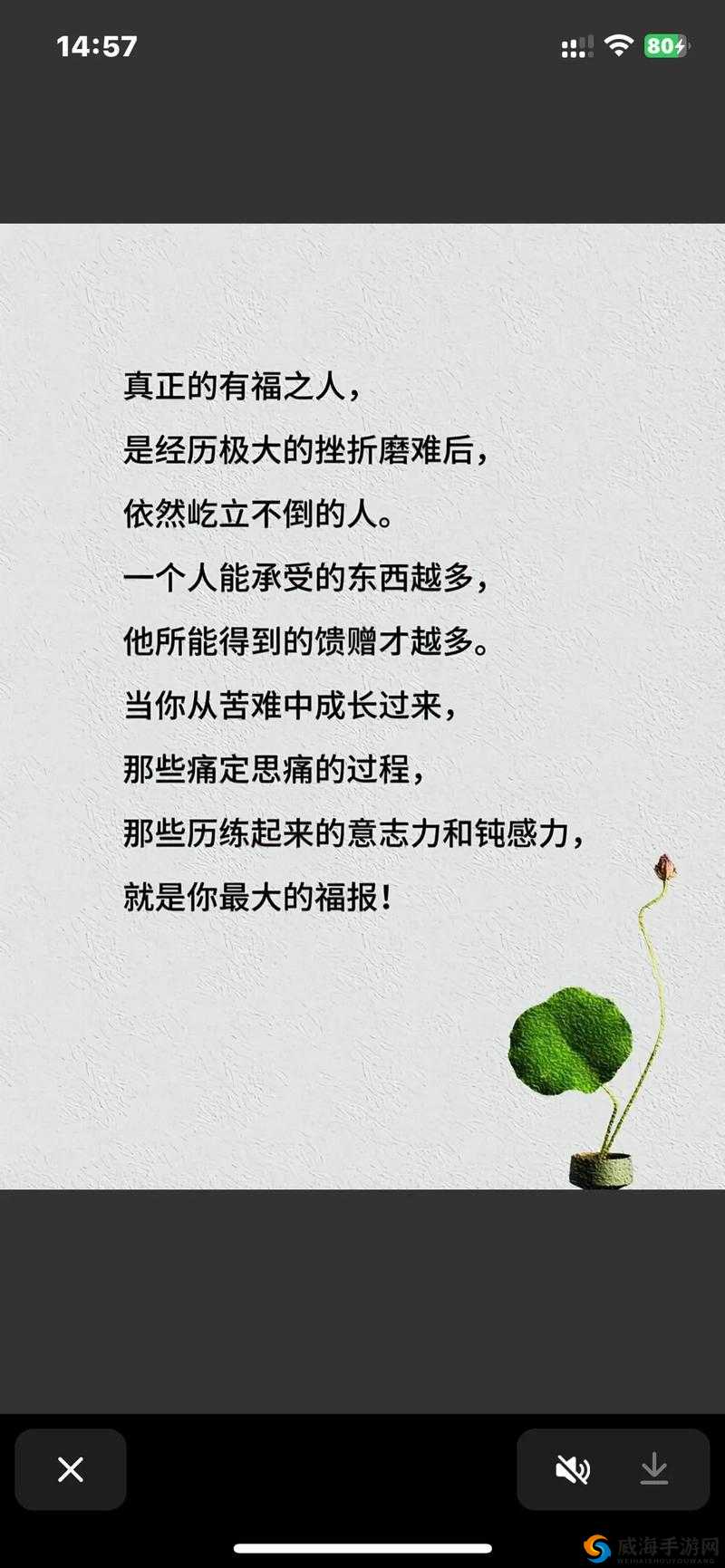 疯狂拨动我的小句号:一段让人疯狂的经历