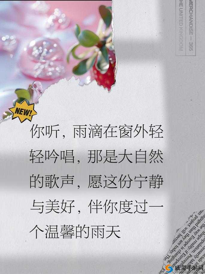 在雨中的窗前，感受你的温暖