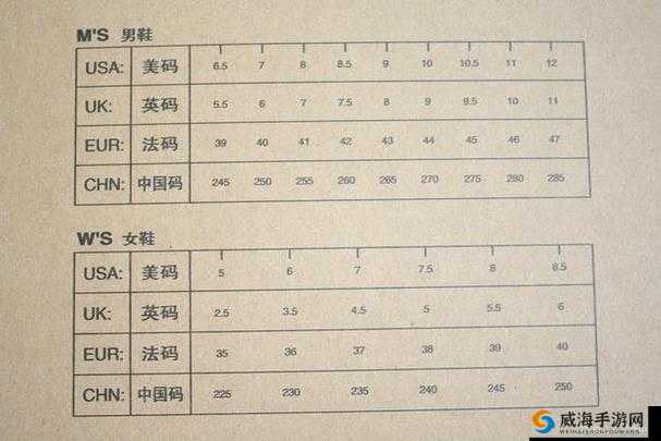 亚码L跟欧码L区别在哪：详细对比及选购指南
