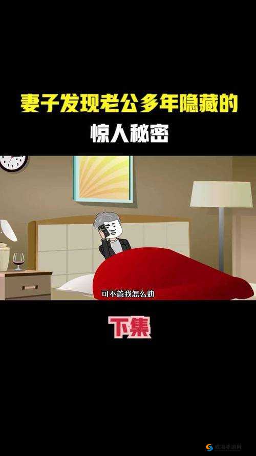 妻子的秘密：探寻隐藏在家庭背后的秘密