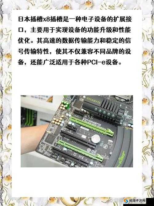 日本插槽 X8 插槽：探索其先进技术与广泛应用场景