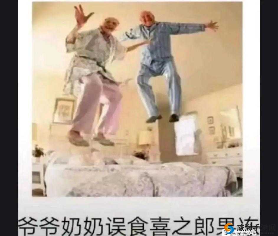 MEMEME 视频完整版在线观看：精彩不容错过