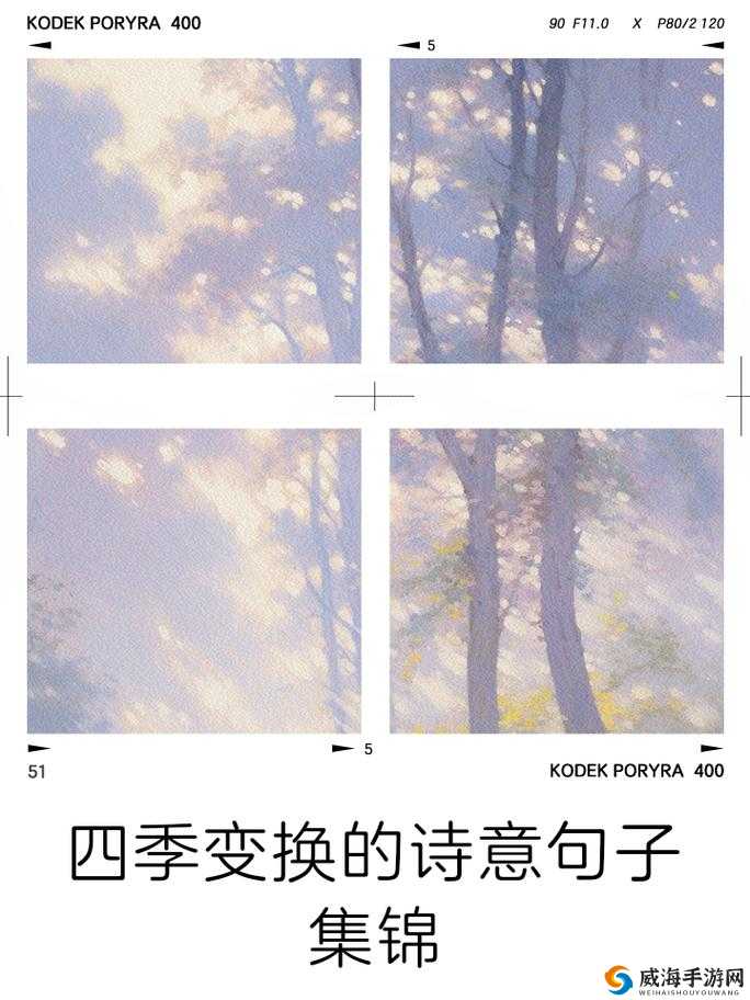 云梦四时歌,四季流转,诗意绵长与角色魅力