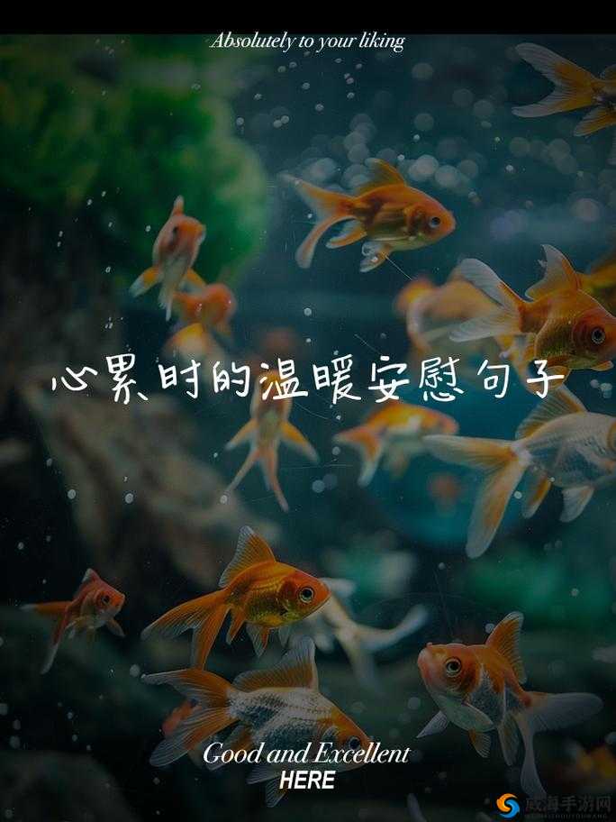 女人自己一个人在家怎么安慰:给予温暖关怀的实用指南