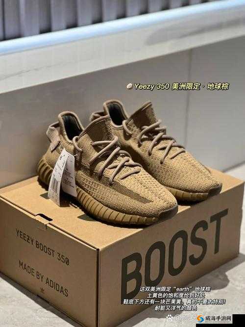 Yeezy 亚洲限定和美洲限定：时尚潮鞋的巅峰对决