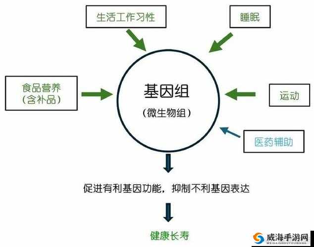 国产一产二产三精华：从传统到现代的智慧结晶