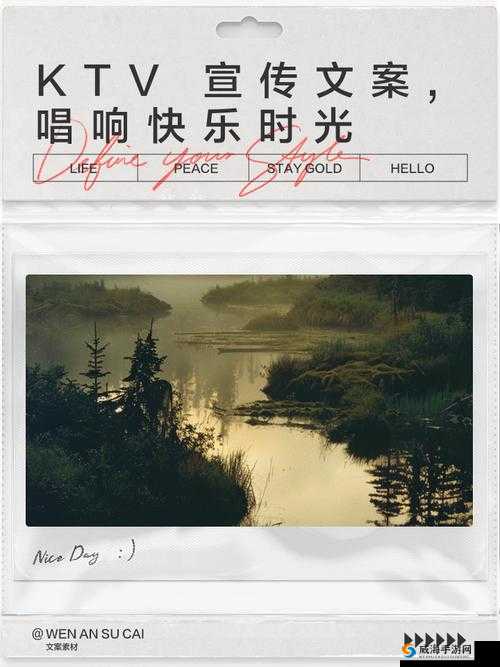 岁岁常欢愉 pop 音乐新制作：奏响欢乐旋律永不停