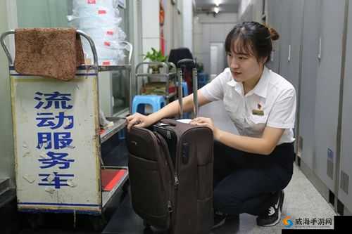 混沌小镇公交车售票员 B 售票：售票员的平凡坚守与热情服务