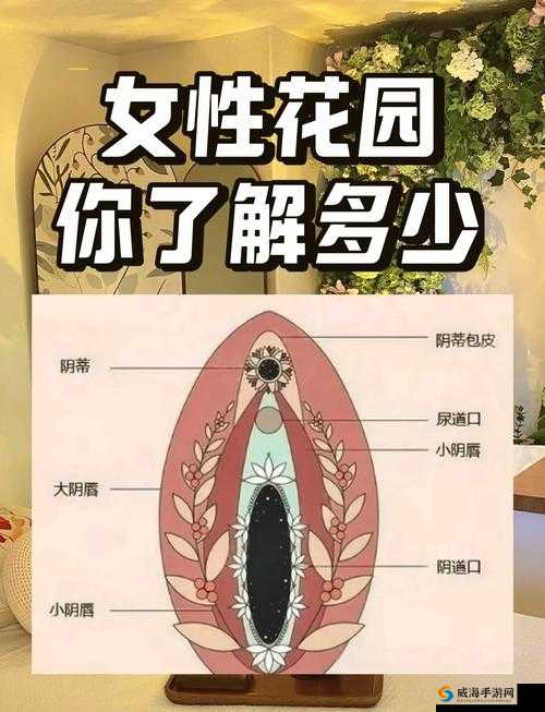 女生喜欢被吃小头头怎么办：探索性偏好的奥秘
