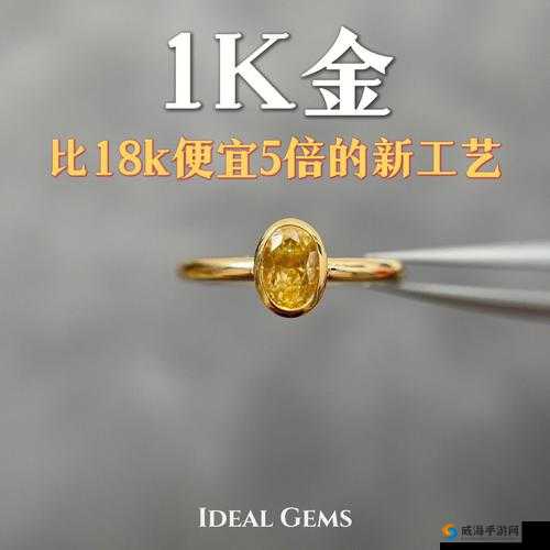 成色 18K1 220 38 质量提升专家：全力打造高品质产品的专业指导
