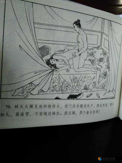 林太太府中逢甘雨：一场祥瑞之雨的奇妙际遇
