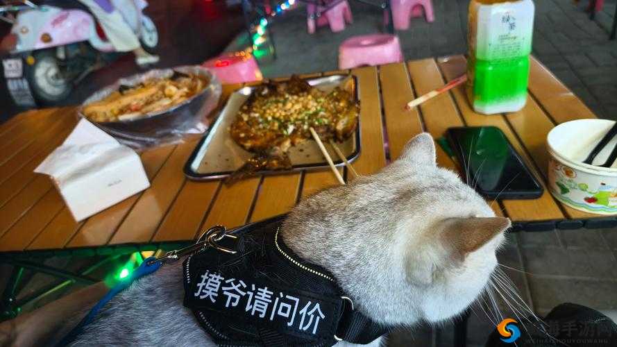 就喜欢听你叫 1V1 烤鱼猫：独特的听觉享受
