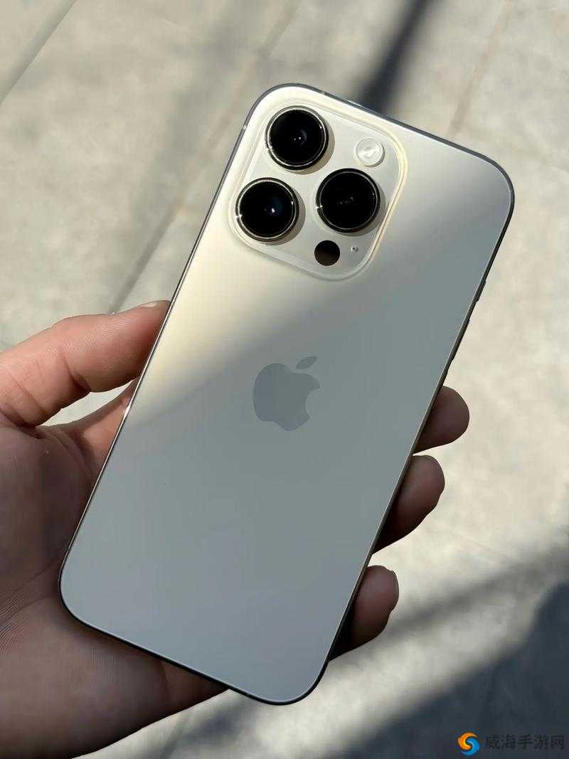 俄罗斯 iPhone14Pro ：独具魅力的高端智能手机之选
