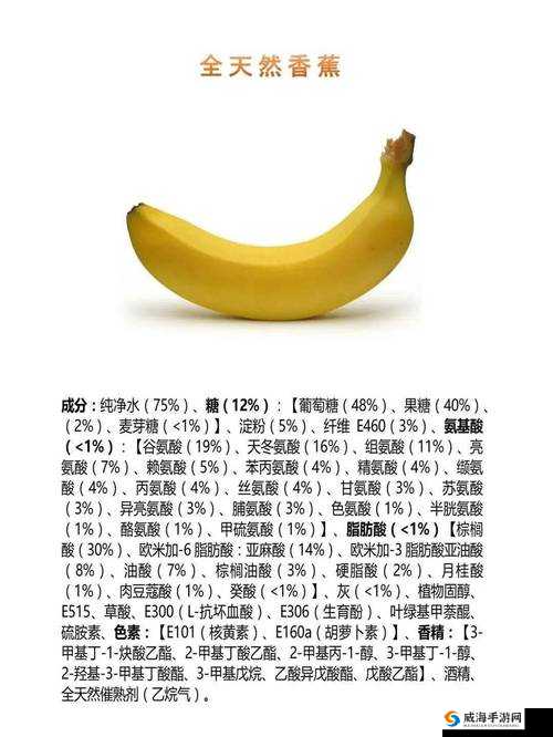 老司机带带我香蕉送给你是什么歌：探寻其独特魅力所在