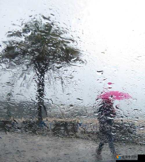 下面湿漉漉的像是刚下过雨：探寻雨后独特的自然景象