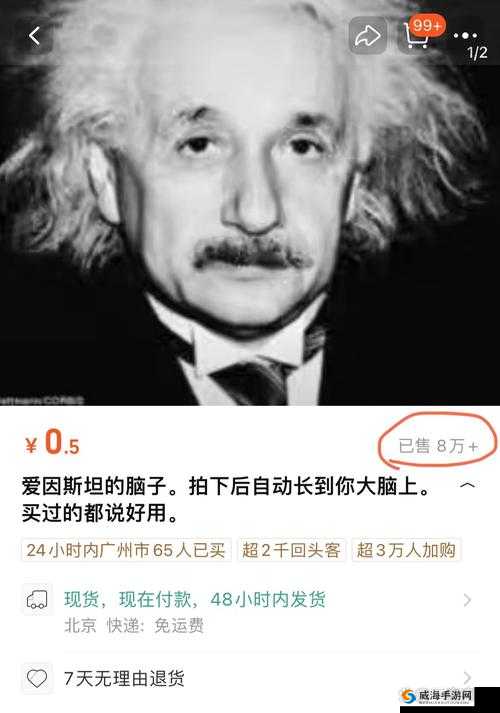 一只手刚好能握住：探寻其中隐藏的奇妙与可能
