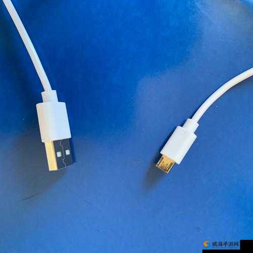 977 国产连接线：高品质连接的可靠之选