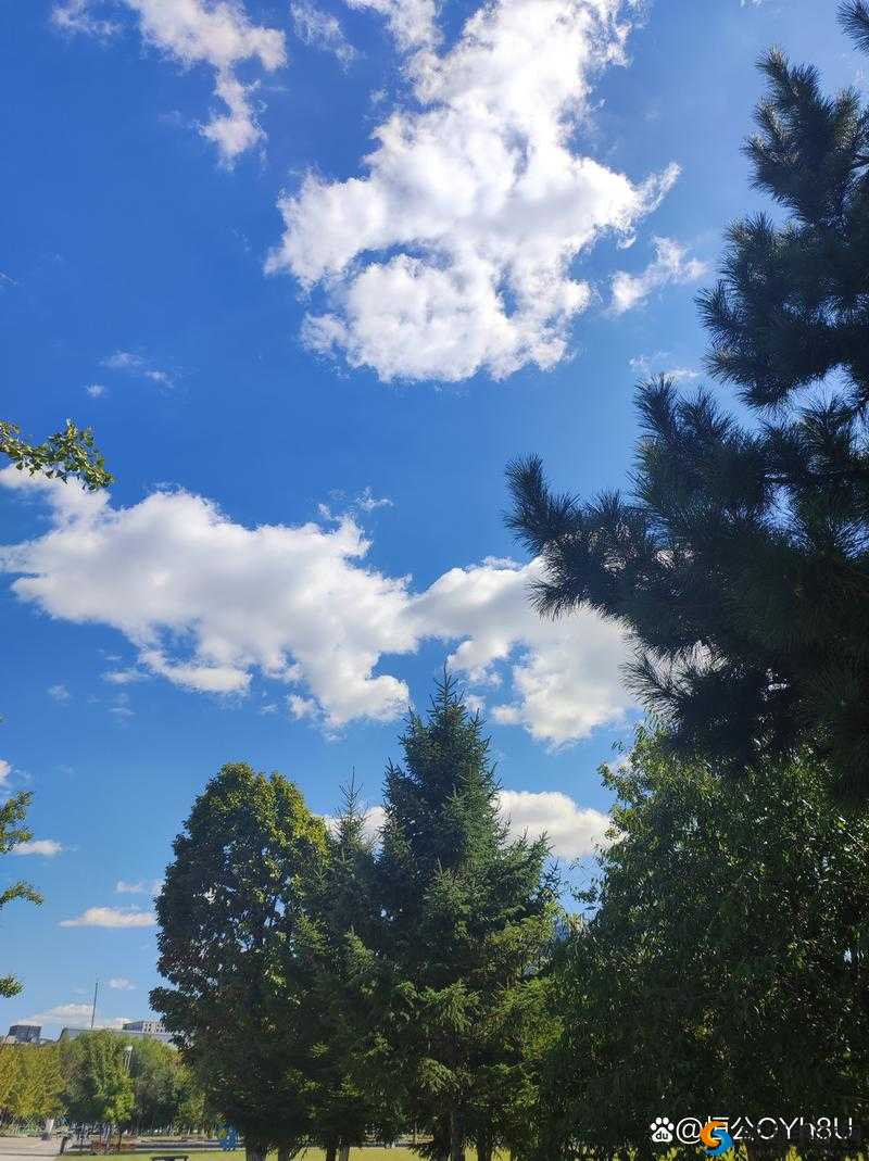 老孙头的春天：与林初晴的浪漫邂逅