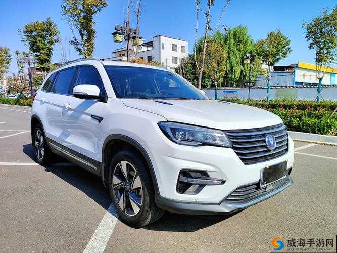 国产 SUV 精二区 69：一款热门的国产 SUV，你值得拥有