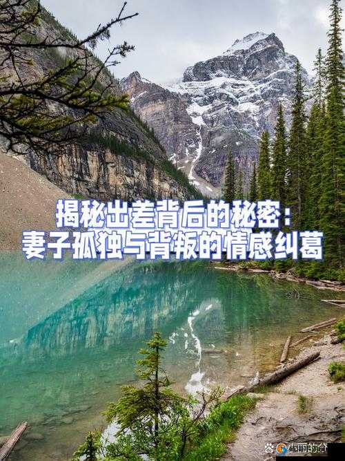 妻子的背叛 1 完整版视频：揭秘背后不为人知的故事与情感纠葛