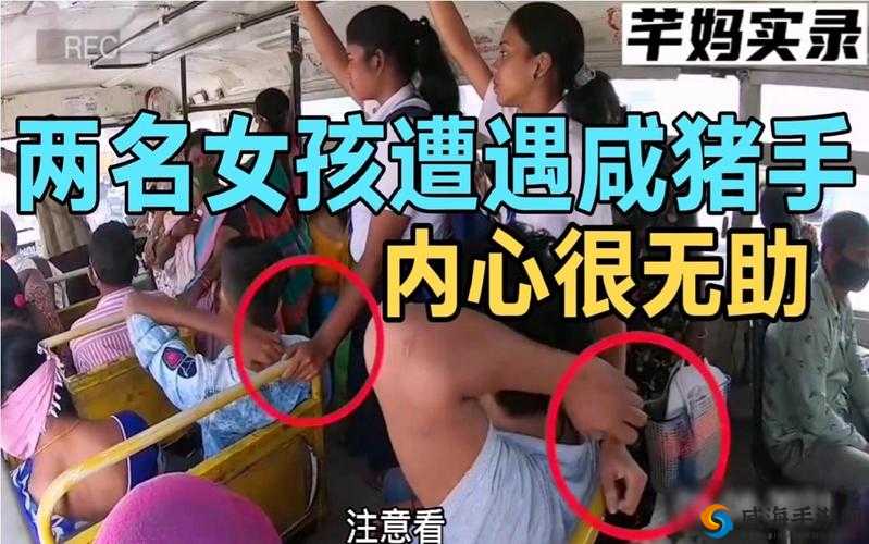 女子公交遭遇咸猪手：是欲擒故纵还是另有隐情？