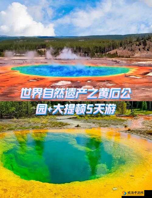 锵锵锵铜铜铜铜免费：探索未知的神奇之旅