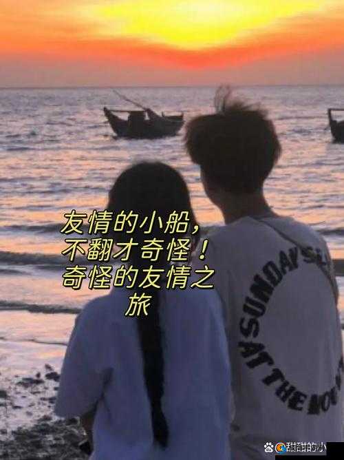 我们四个人换着玩：开启奇妙友谊之旅