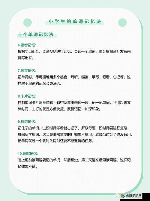 坐在学霸的棍子上背单词：高效记忆新体验