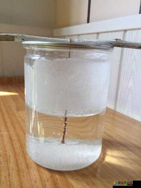 小烧货水能么多叫出来的突破性水资源科技：为可持续发展提供新途径
