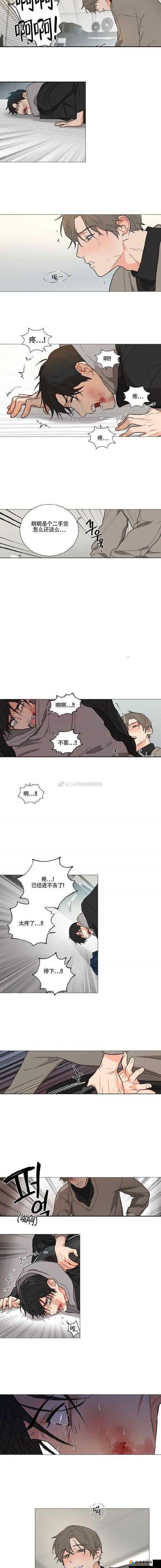 爱情的囚笼:困在其中无法挣脱的情感纠葛之网