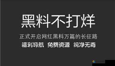 万篇长征 - 黑料不打烊传送门：深入探寻背后的秘密与真相