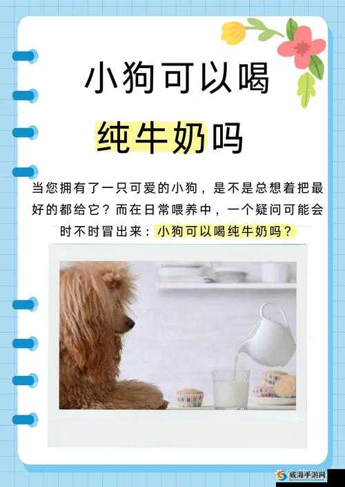 s 货是不是欠 g 了是啥意思：对这句话的深入探讨与解析