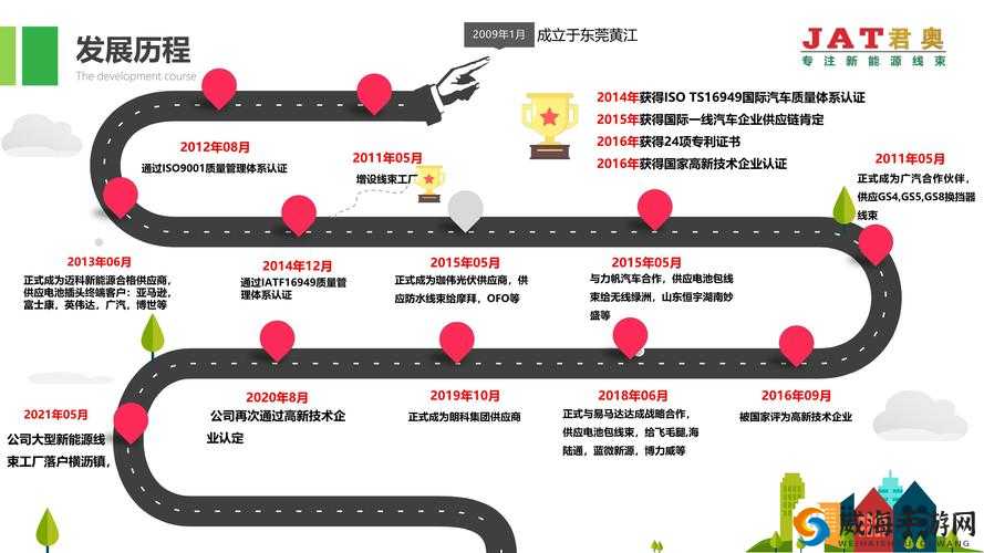 977 国产连接线行业揭秘：探寻其背后的发展历程与未来趋势