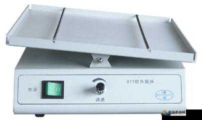 THERMO 脱色摇床：实验室高效精准的脱色助手