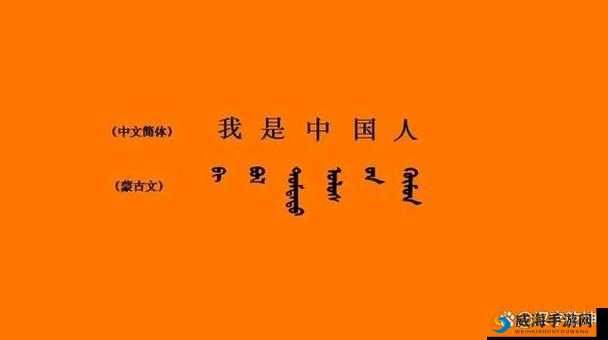 ххх中国人 WWW 所展现出的诸多美好之处