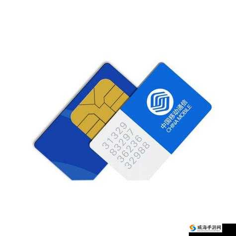 国产一卡三卡四卡无卡精品，给你带来极致视觉体验
