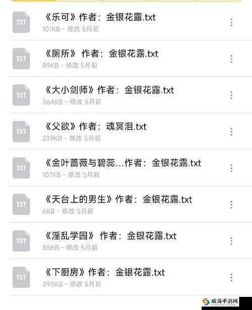 成年玩具店 BY 金银花露：成年人玩具的奇妙世界