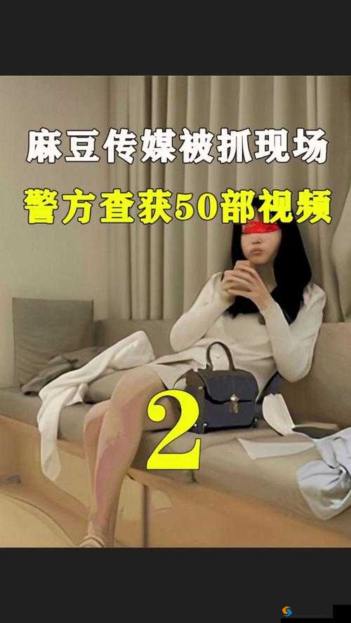 麻豆视频传媒入口：畅享精彩视频的便捷通道