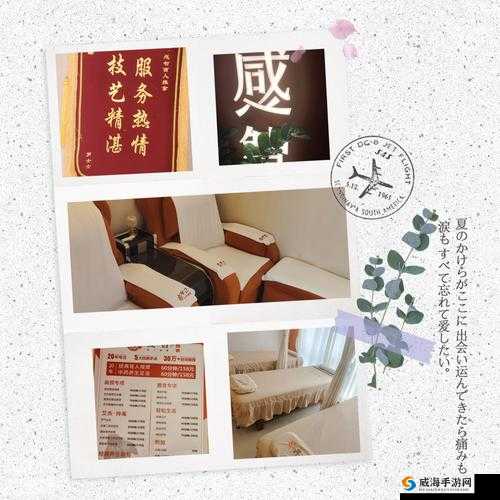 99 精产国品一二产区在线:打造极致体验,畅享无限精彩