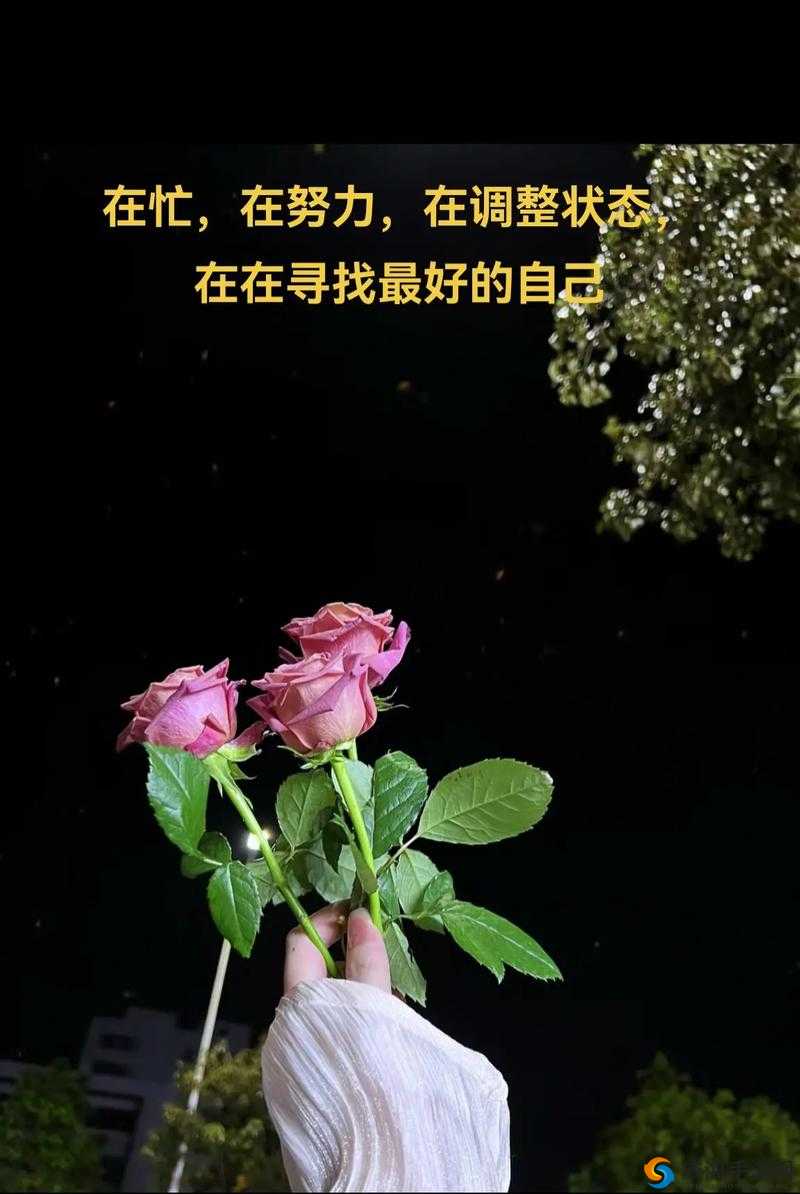 想要慢慢慢慢把你填满——那悠悠深情的旋律与渴望