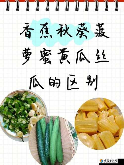 草莓、香蕉、丝瓜、秋葵与香草的奇妙组合与创意呈现