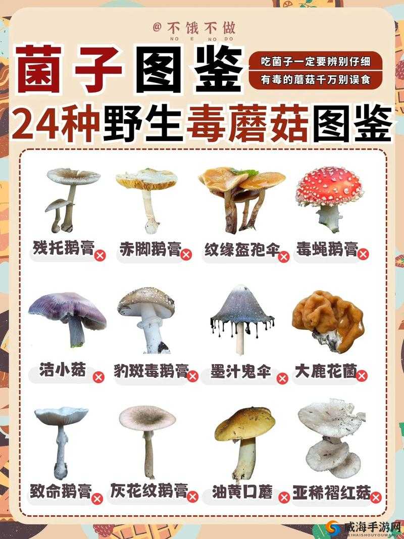 蝳蘑菇，隐匿于自然中的致命诱惑