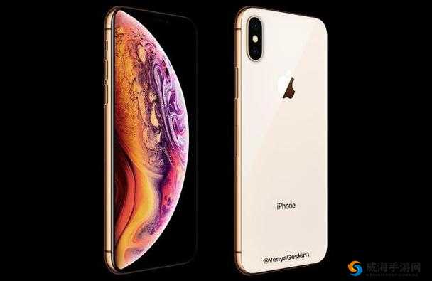 iPhone XS Max：欧美高级时尚之选