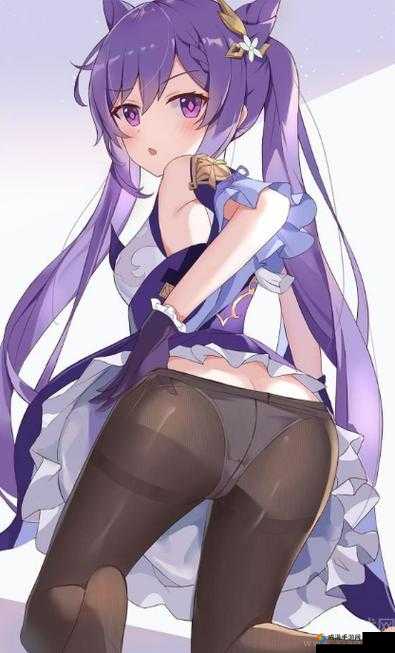 原神女角色去掉服装不遮挡且无小爱心的全新呈现