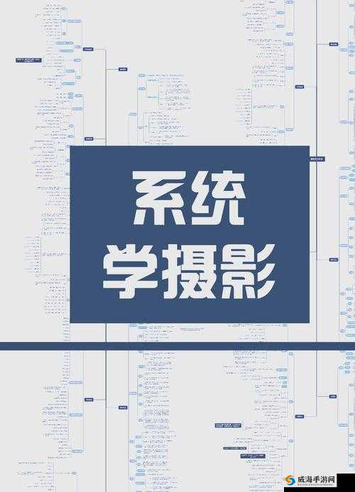 摄影艺术入门指南:从零基础到拍出精彩作品之路