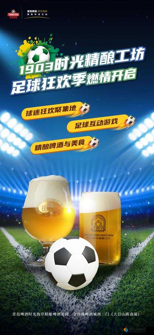 全民冠军足球,策略与激情的绿茵盛宴