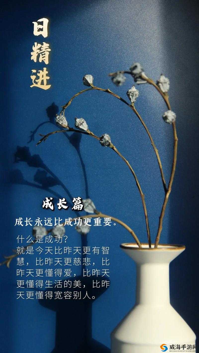 日日精进久久为功：持之以恒不懈努力铸就辉煌未来