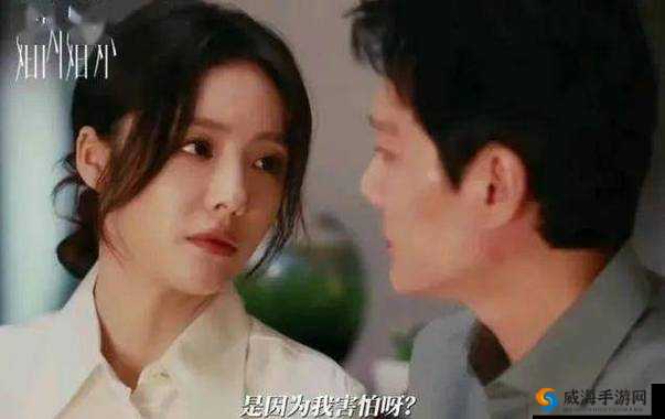 最好看的中文字幕国语电视剧：它为何让观众如此着迷